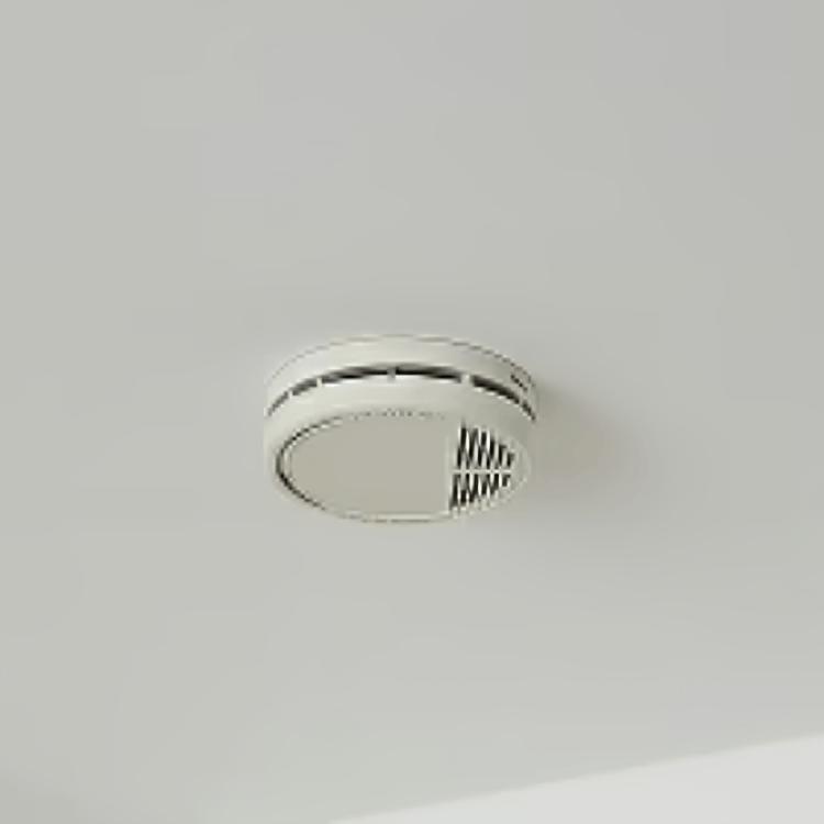 iDetectPro customer -Ava T.