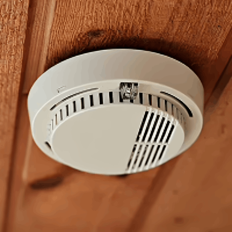 iDetectPro Customer - Amelia H.